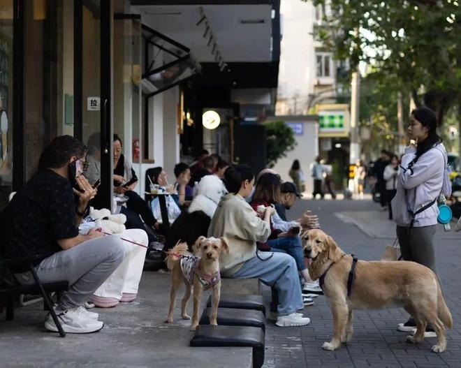 弃了双11爱上了“老年严选”AG旗舰厅网这届脆皮年轻人抛(图14)