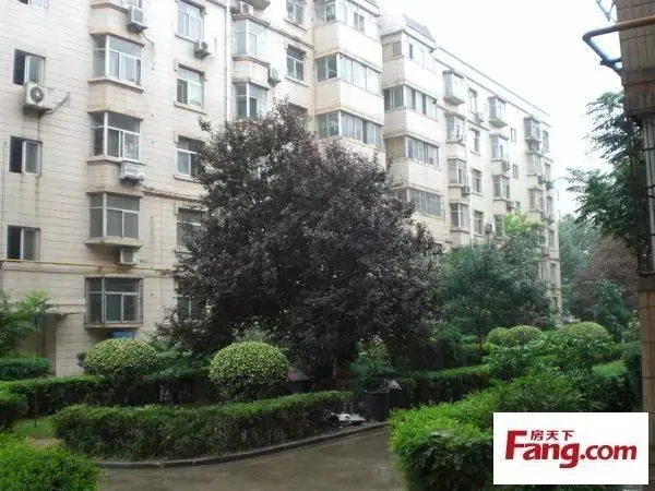 迎“金三银四”深圳房产中介已提前备战！AG旗舰厅appHot文章值得看：楼市(图5)
